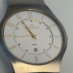 Skagen Denmark Men’s Stainless Steel Mesh Band Watch White Dial
